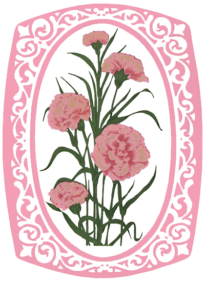 Hamilton Corner Carnation Light Pink